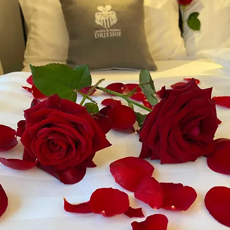 Driehof Panorama 8 מלון