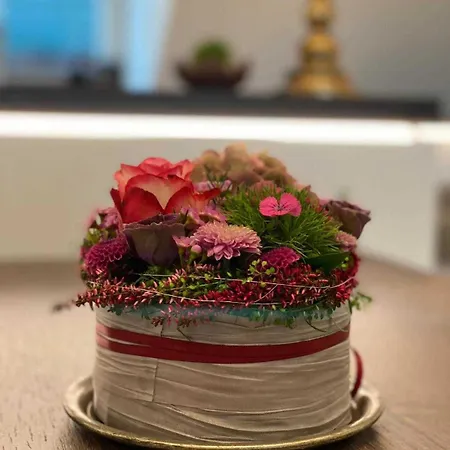 Driehof Panorama 8 מלון