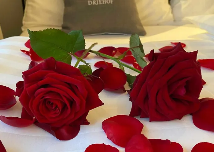 Driehof Panorama 8 Hotel