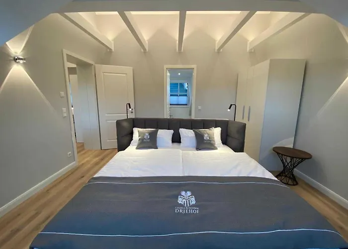 Driehof Panorama 8 *