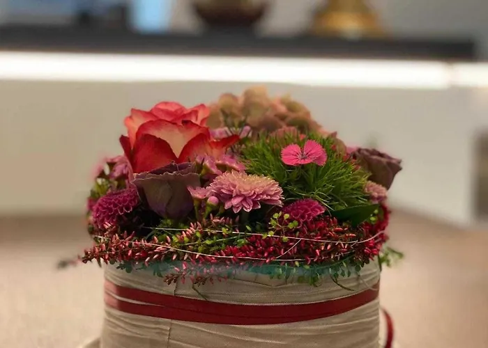 Driehof Panorama 8 Hotel